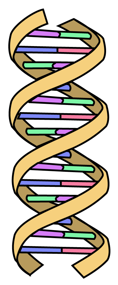 DNA image